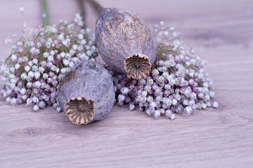 Still life of dried flowers and poppy seed balls on a light wooden background