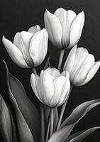 Tulpen
