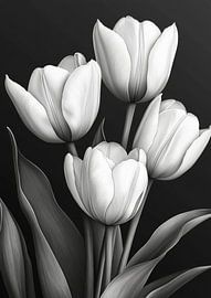 Tulipes