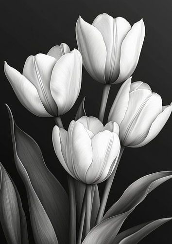 Tulpen