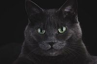 Hunter eyes