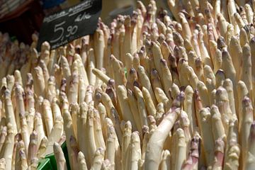 Asperges van Richard Wareham