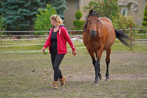 Trakehner Feldmeyer met eigenaar in de wei