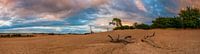 Panorama Loonse and Drunense Dunes by Sander Poppe thumbnail