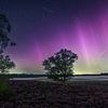Magische Nacht op de Heide: Perseïdenregen en Noorderlicht boven een Mystiek Landschap van Hevonax Photography