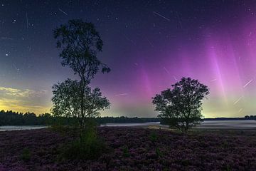 Magical Night on the Heath: Perseid rain and Northern Lights over a Mystical Landscape by Hevonax Photography