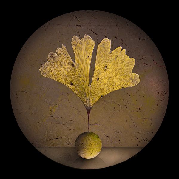 Goldenes Blatt. Ginkgo. Blätter. von Alie Ekkelenkamp