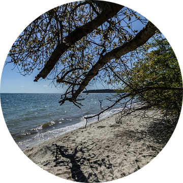 Aan de kust in de Goor, Vilmeiland, Lauterbach op Rügen
