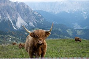 Dolomiten