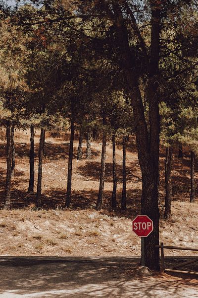 Spain by Eva Ruiten