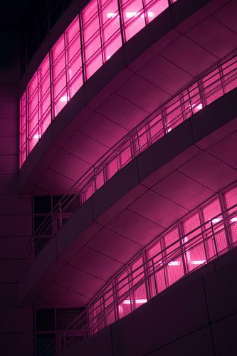 Neonkurve von Britt Spee