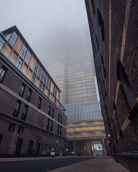 The Rotterdam by Alvin Aarnoutse