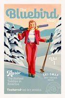 Der Blaue Vogel Tägliches Pinup Ski Kunst