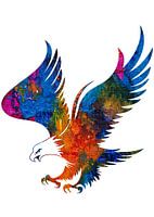 flying eagle