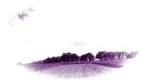 Landscape colors violett 