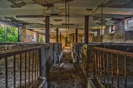 Abandoned farm by Ivana Luijten