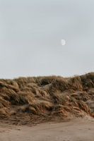 Winterliche Strandspaziergänge #6