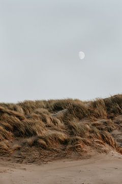 Winter beach walks #6 by Elise van Gils