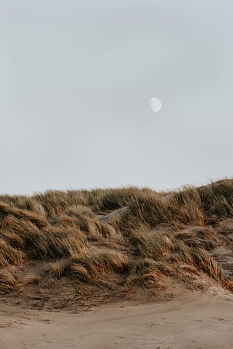 Winter beach walks #6