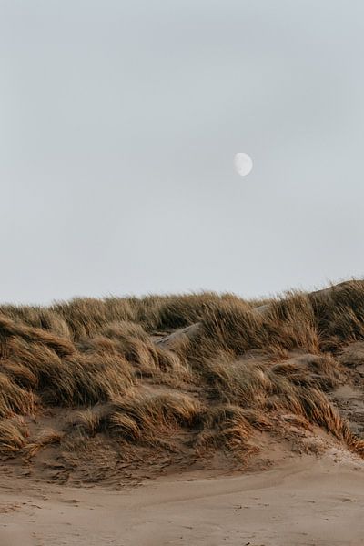 Winter beach walks #6 van Elise van Gils