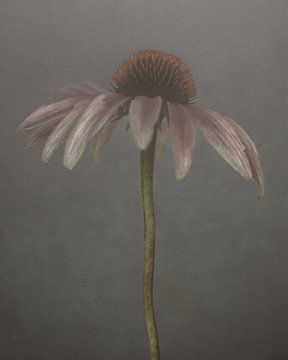 Flower Poetry by Mariëtte Aernoudts