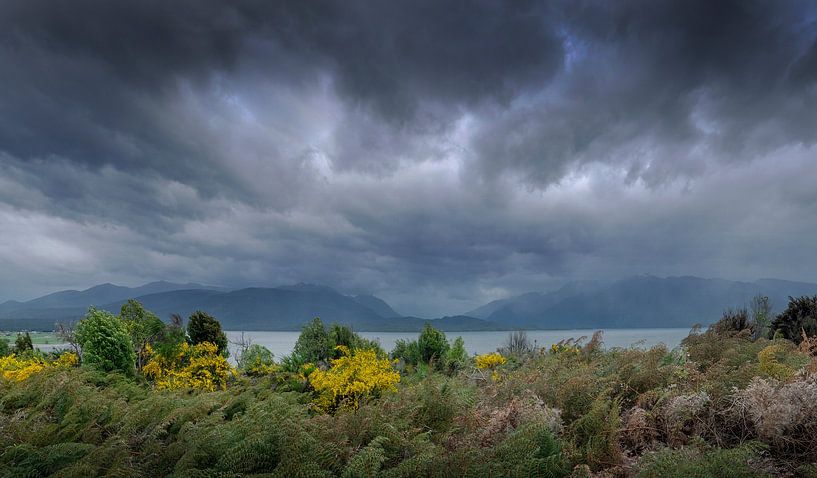 Nuages de pluie dans un paysage de Nouvelle-Zélande par Albert Brunsting