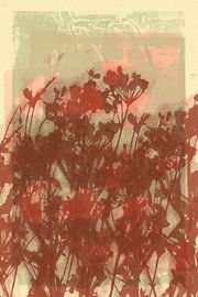 Art botanique minimaliste abstrait et vivant dans des tons chauds de brun et de blanc sur Dina Dankers