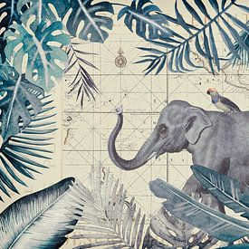 Olifanten exotische reis van Andrea Haase