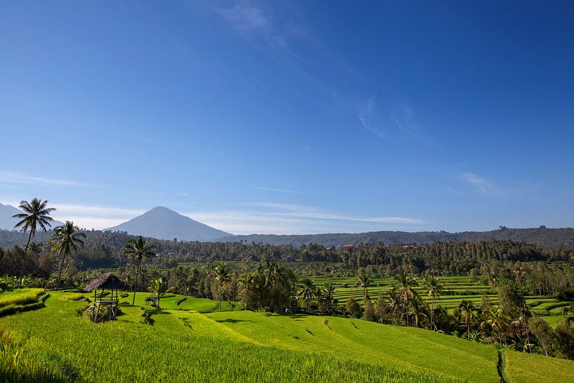 Mount Agung or Gunung Agung. A representation of a sacred and famous Balinese volcano by Tjeerd Kruse
