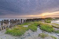 Sunrise Wadden Sea by Jan Koppelaar thumbnail