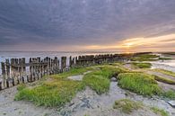 Sonnenaufgang Wattenmeer von Jan Koppelaar Miniaturansicht