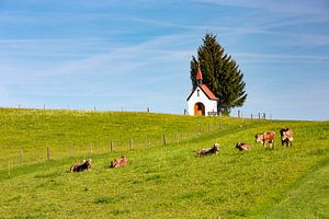 Chapelle de Fatima