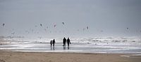 Watch and kite