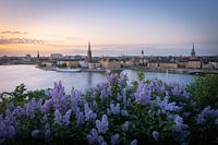 Magical Sunset over Gamla Stan, Stockholm