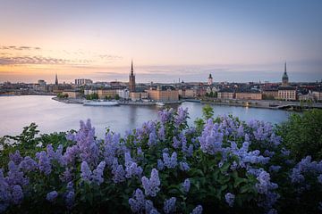 Magische Zonsondergang boven Gamla Stan, Stockholm van Michiel Dros