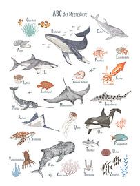 ABC der Meerestiere von Marion Lesnik