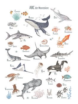 ABC der Meerestiere
