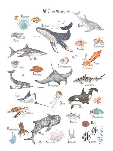 ABC der Meerestiere von Marion Lesnik