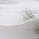 Wadden Photography - Strand #3 uit serie van 9 beelden van Wad of Wonders thumbnail