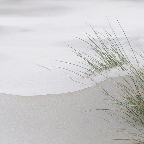 Wadden Photography - Strand #3 uit serie van 9 beelden van Wad of Wonders