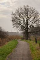 Calme et tranquillité à Markdal Breda