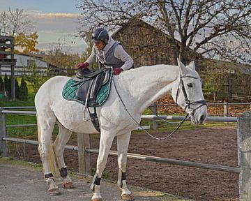 Training met het witte paard op een rijbak in de herfst