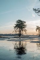 Ijzige ochtend bij het Boetelerveld