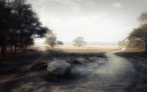 Goedemorgen, en word wakker, als de zon op komt