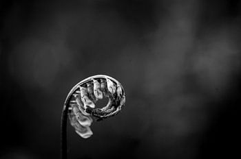 In der Schaltfläche