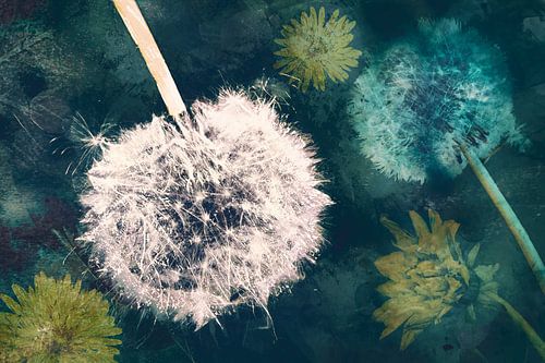 Ode an den Löwenzahn