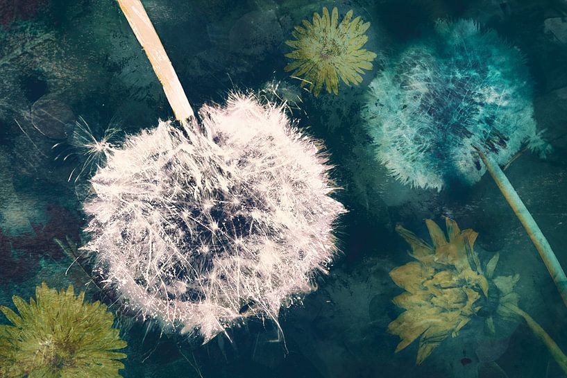 Ode to the dandelion by Studio Mirabelle