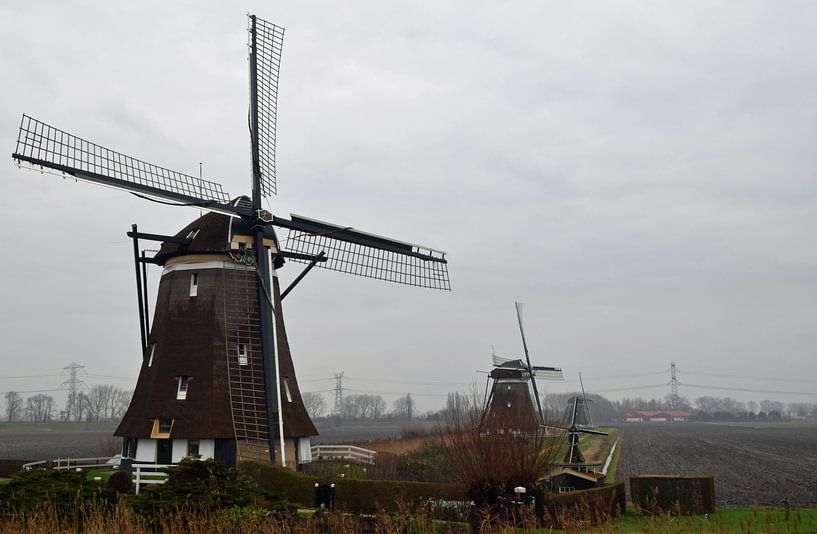 Paysage hollandais avec des moulins à vent. par Robin Verhoef