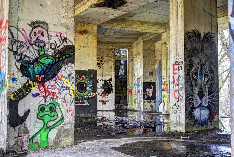 Graffiti  by Robert Prins
