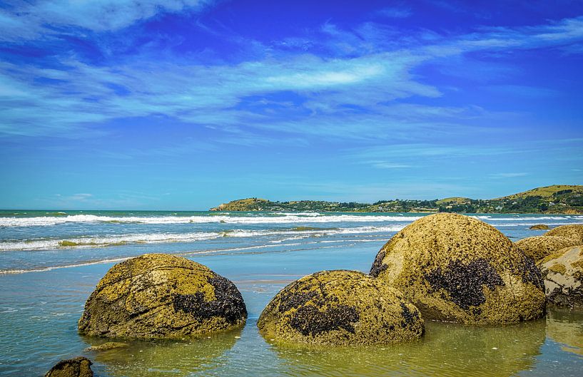 Moeraki Boulders on the beach, New Zealand by Rietje Bulthuis